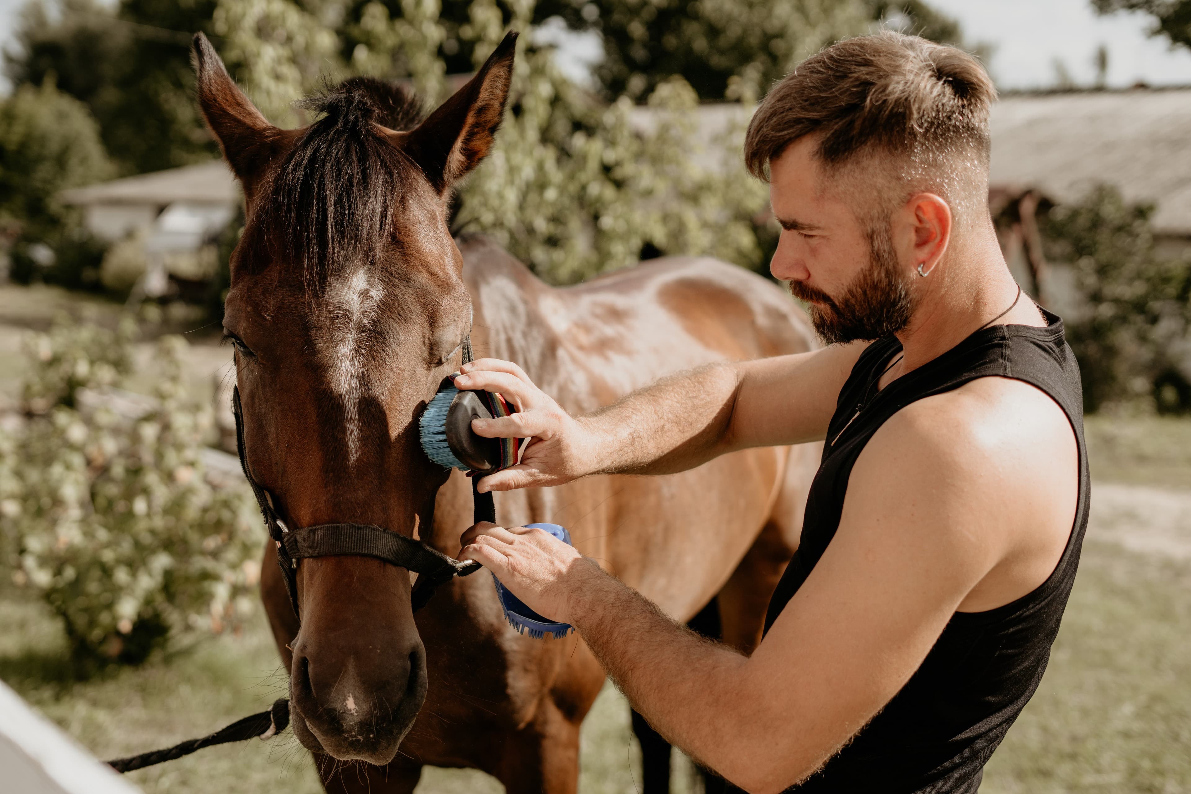 Maintaining Your Horse's Health: 5 Essential Tips